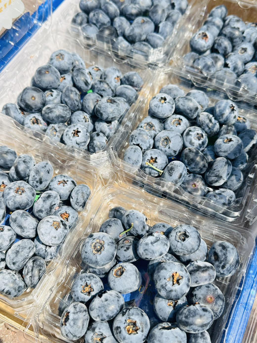 花香脆星空蓝莓  22+大蓝莓 商品图0