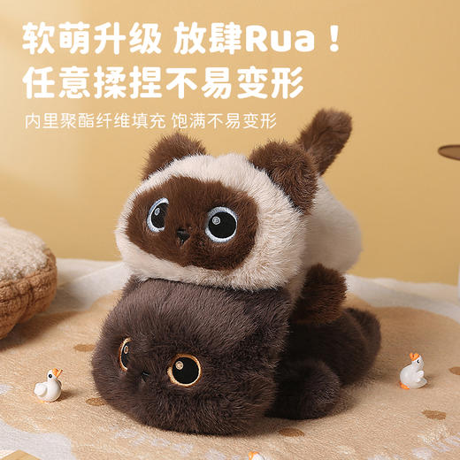 可爱趴姿猫咪 商品图4