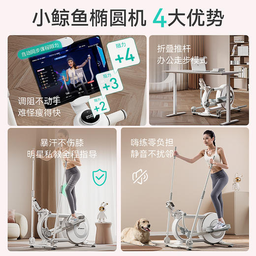 麦瑞克小鲸鱼后驱家用椭圆机 磁控静音运动椭圆仪小型健身器材MR-E11W1 商品图1