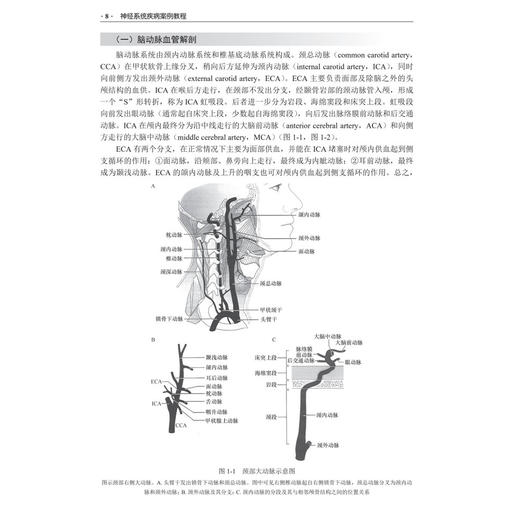 神经系统疾病案例教程 施炜 季秋虹 沈剑虹 主编 本教程适合临床医学专业本科生、住院医师规范化培训学生及研究生使用 科学出版社 商品图4