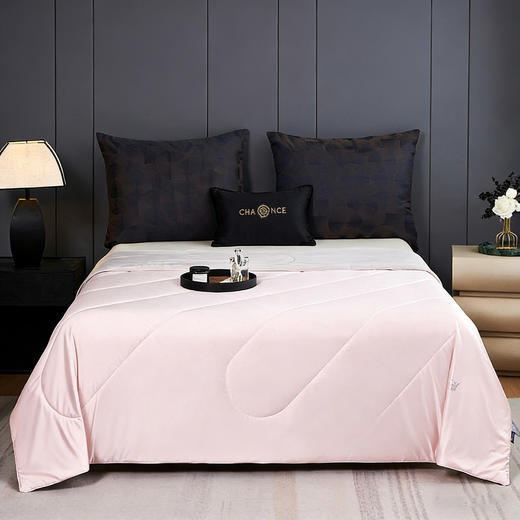 【源头高货福利】多娜天然蚕丝夏凉被 | 20%桑蚕丝填充、亲肤舒适、透气性好、简约大气 商品图5