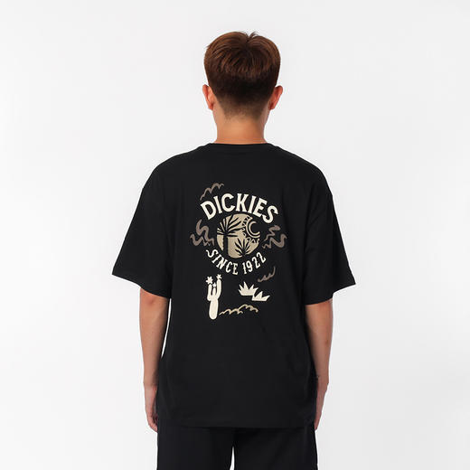 Dickies纯棉短袖T恤男夏季款宽松凉感半袖上衣美式体恤潮流男装DK0A87DC 商品图2