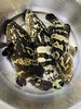 xm{精品！！精品海钓的深海货 少量少量...}满满的胶原蛋白，大龙胆石斑鱼刚上岸超新鲜，清蒸 干煎全家老小都抢着吃！顺丰冷链活冻送货上门 商品缩略图3