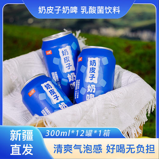 心纯·新疆奶皮子奶啤 乳酸菌饮料  多规格可选 商品图2