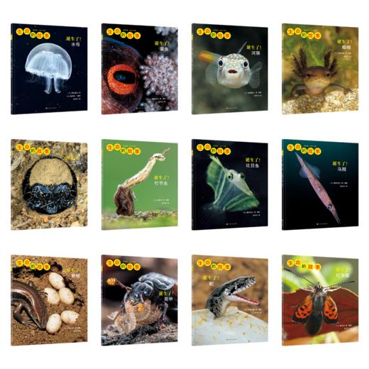 生命的故事1-5辑大全辑 商品图5