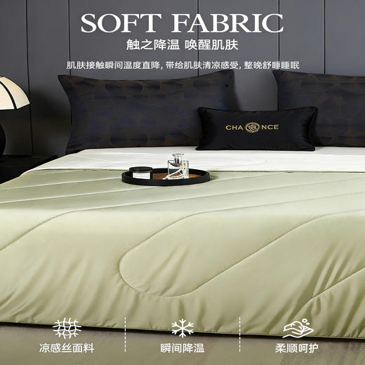 【源头高货福利】多娜天然蚕丝夏凉被 | 20%桑蚕丝填充、亲肤舒适、透气性好、简约大气 商品图2