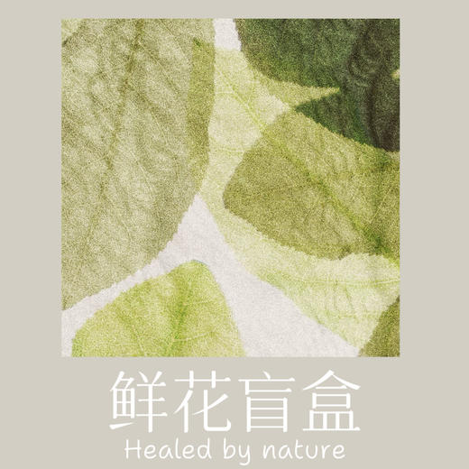 森林花事｜鲜花盲盒福袋当季花材随机搭配 商品图0