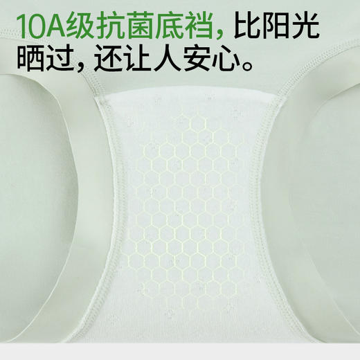 【樱姿娜RX777】七日鲜女士内裤(七条独立包装) 商品图4