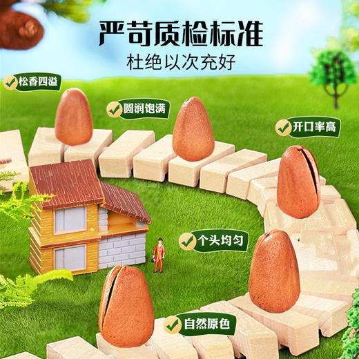 【咔嚓一口❗️开口松子】白皙松肉透着微黄，脆嫩鲜香，原色原香纯粹滋味，浅褐色外壳包裹饱满果仁，新货坚果散装手剥红松年货休闲零食干果QQ 商品图2