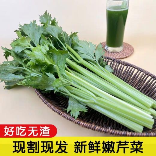 淘牧正宗西芹新鲜自种榨汁农家优质绿色脆嫩青菜芹菜时令蔬菜批发 商品图4
