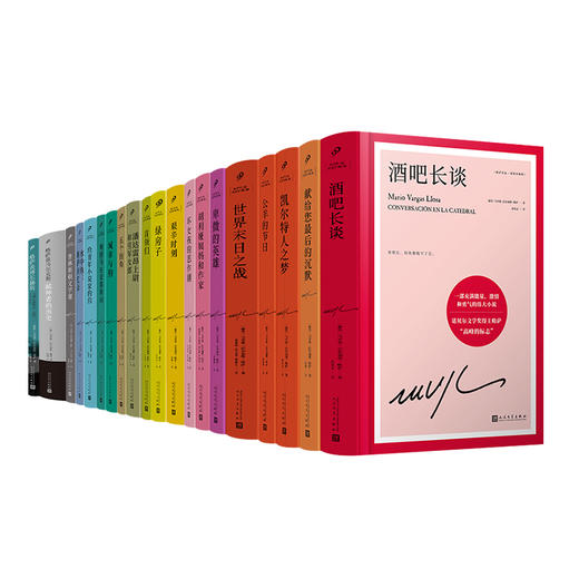 略萨作品20种任选 谈马尔克斯 酒吧长谈 城市与狗等 商品图5