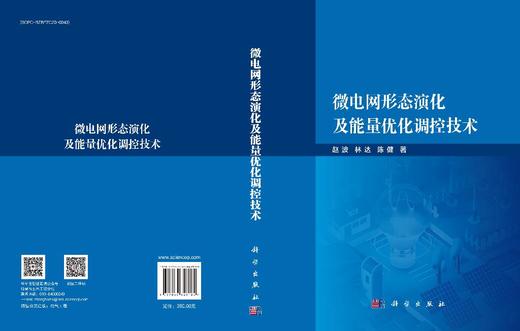 微电网形态演化及能量优化调控技术 商品图3