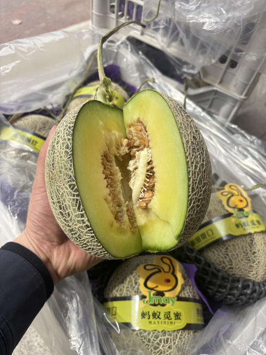 14.8元1个冰淇淋网纹蜜瓜 商品图0