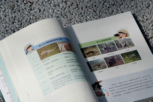 【魔法象】跟着博士游桂林山水  沈利娜/著  魔法象/绘 商品图5