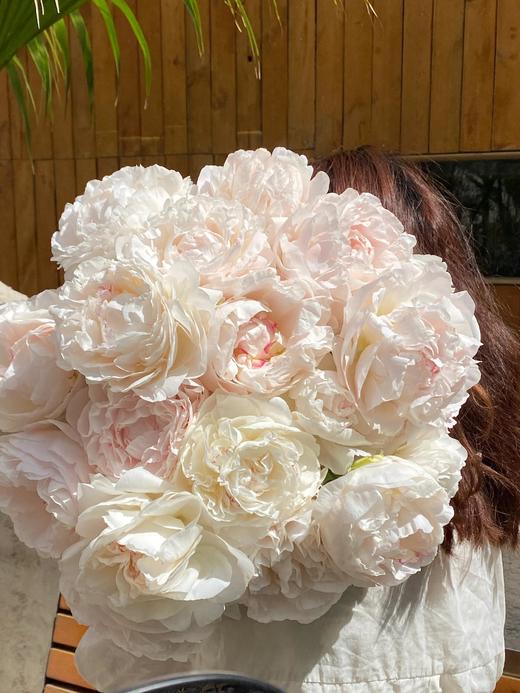 【预售！4.20起陆续发出】母爱芍药 【岁月从不败美人】 简小姐精选新品芍药-母爱 2件包邮 顺丰空运直发 商品图7