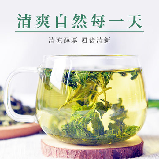 薄荷叶花草茶清凉薄荷夏天冷泡茶叶 现货现发大货批发茶 商品图2