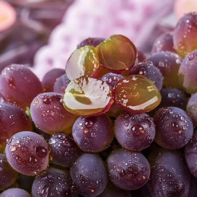 云南茉莉香无核葡萄  颗粒饱满  皮薄无核  鲜嫩多汁  香甜可口