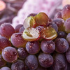 云南茉莉香无核葡萄  颗粒饱满  皮薄无核  鲜嫩多汁  香甜可口 商品缩略图0