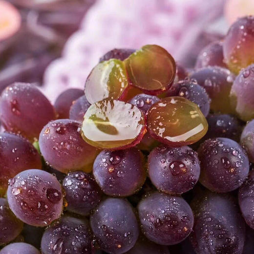 云南茉莉香无核葡萄  颗粒饱满  皮薄无核  鲜嫩多汁  香甜可口 商品图0