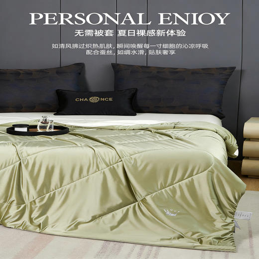 【源头高货福利】多娜天然蚕丝夏凉被 | 20%桑蚕丝填充、亲肤舒适、透气性好、简约大气 商品图3