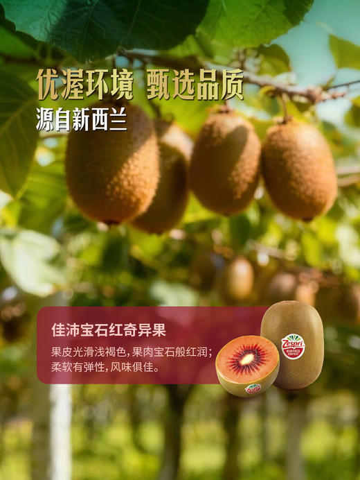 MM 山姆 佳沛（Zespri）新西兰进口 宝石红奇异果 880g 商品图4