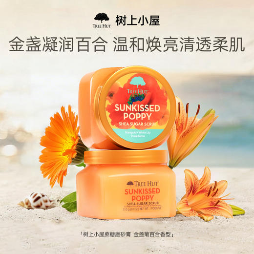 【下单赠掰掰洁面泡泡2包】TreeHut树上小屋磨砂膏花香 去角质不伤肌510g/罐yc0413001 商品图6