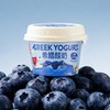 乐纯希腊酸奶蓝莓口味90g 商品缩略图4