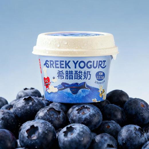 乐纯希腊酸奶蓝莓口味90g 商品图4