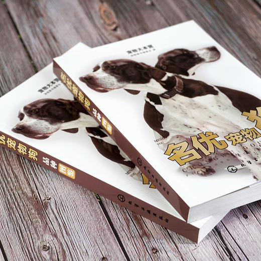 宠物大本营--名优宠物狗品种图鉴 商品图2