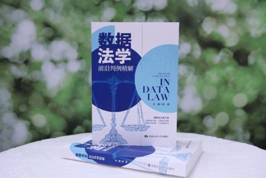 数据法学前沿判例精解 / 何渊 商品图1