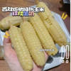 现货西双版纳拇指玉米500克 商品缩略图9