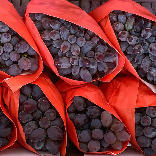 云南茉莉香无核葡萄  颗粒饱满  皮薄无核  鲜嫩多汁  香甜可口 商品图4