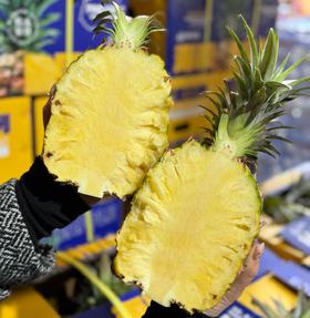 正宗海南豆奶凤梨  蜜甜多汁 家庭装2颗装