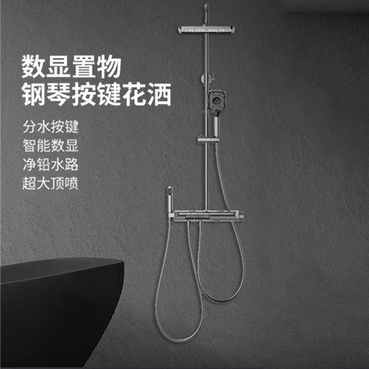 海尔花洒L5429D升级款海尔花洒卫生间四功能钢琴按键超大置物主体智能数显 四功能数显调温淋浴器 商品图1