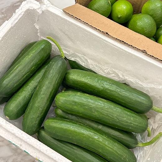 【斌哥优选】水果黄瓜。新鲜采摘，皮薄籽少，直接生吃不涩口。减肥界里的常备选手。强烈推荐啊。 商品图3