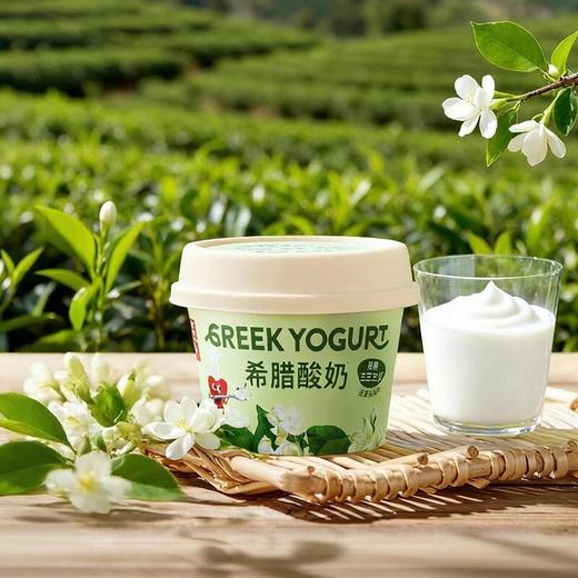 乐纯希腊酸奶茉莉花口味90g 商品图0