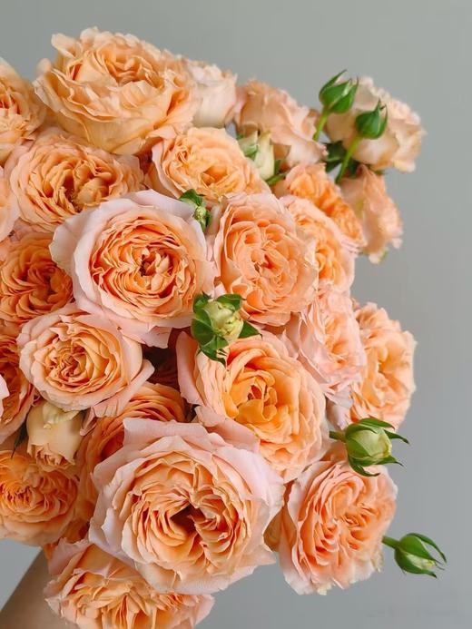 橙色多头玫瑰10枝 商品图2