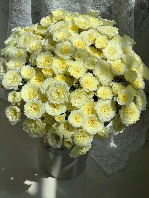 黄色多头玫瑰10枝 商品图5