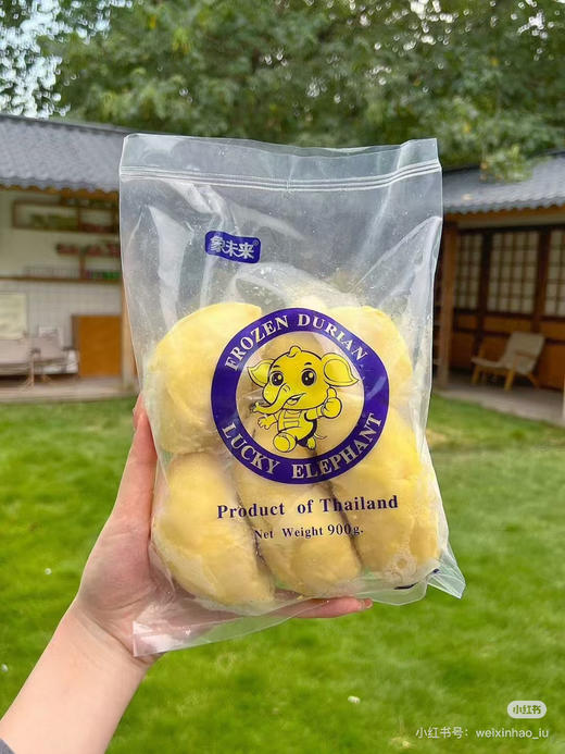 到货象未来800克榴莲肉 商品图5
