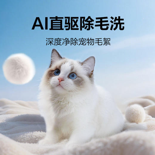 海尔（Haier）洗衣机 XQG100-BLEU75TU1 商品图13