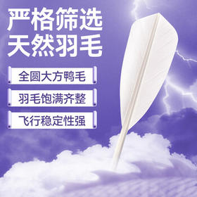 川崎（KAWASAKI）羽毛球真龍800稳定耐打进阶比赛训练用球12只装