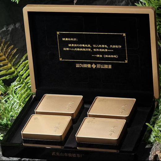 骏德茶业 优选金骏眉 商品图1