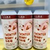 大九酿造 马冬莓酸奶冰激凌西打果酒500mL 商品缩略图0