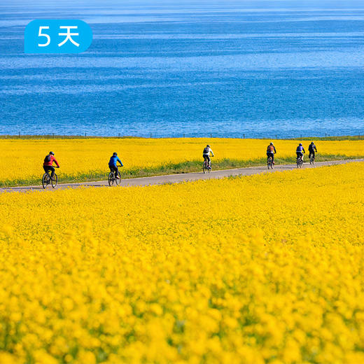 环青海湖骑行｜4+2豪华保障 此生必去 360公里环湖挑战 5日 商品图0