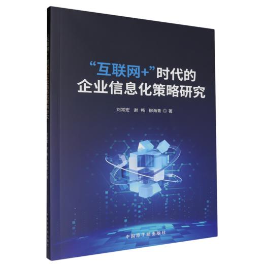 互联网 时代的企业信息化策略研究 商品图0