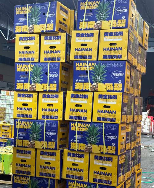 正宗海南豆奶凤梨  蜜甜多汁 家庭装2颗装 商品图5