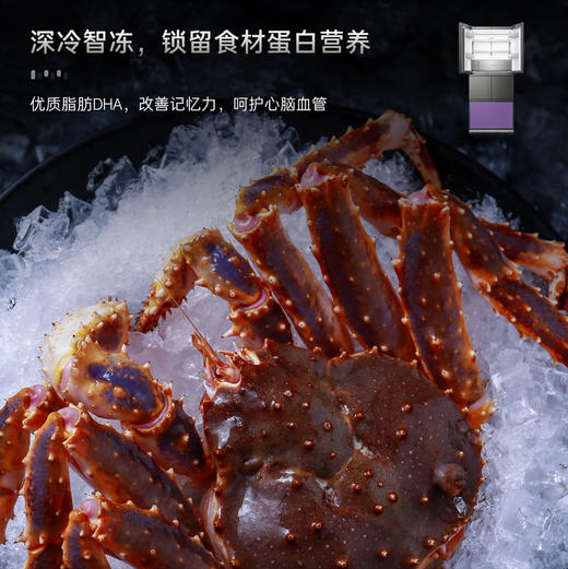 卡萨帝（Casarte）冰箱 BCD-520WLCFPAGGTU1 商品图6