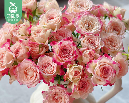 「折射甜心」多头玫瑰花束（每枝3个花头以上*10枝/束） 商品图2