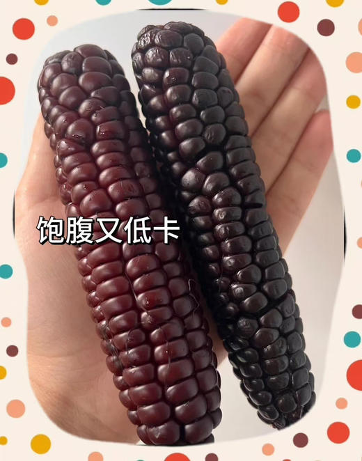 现货西双版纳拇指玉米500克 商品图5