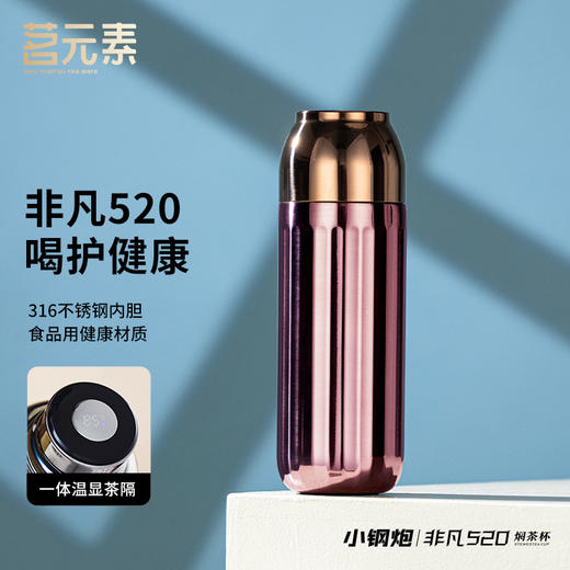 【茗元素】 非凡520焖茶杯 520MLPA 商品图3
